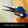 LEGO Icons Kingfisher Toy 10331 Building Blocks for Home Decor Gift for Men and Women