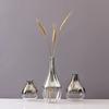 2025 New Brand Nordic Glass Vase Creative Silver Gradient Dried Insert Desktop Terrarium Jewelry Decoration Plant Holder