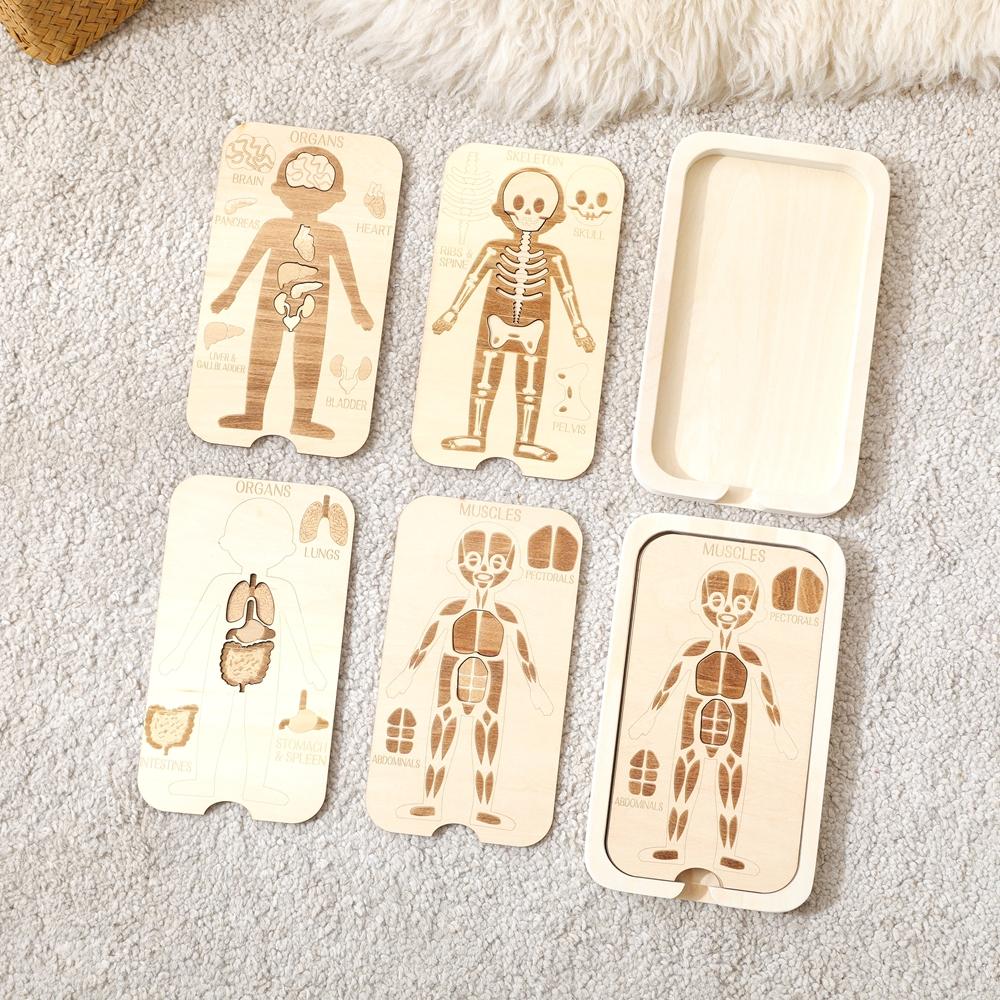 Topmix Unisex Kids Children Wooden Montessori Toys Human Body Puzzles Toys Wooden Human Anatomy Puzzle Cognitively Human Preschool Anatomy Toy Set