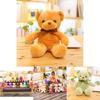 Soft And Skin-friendly 11.8-21.6 In Colored Teddy Bear Plush Perfect Gift For Kids And Home Decor