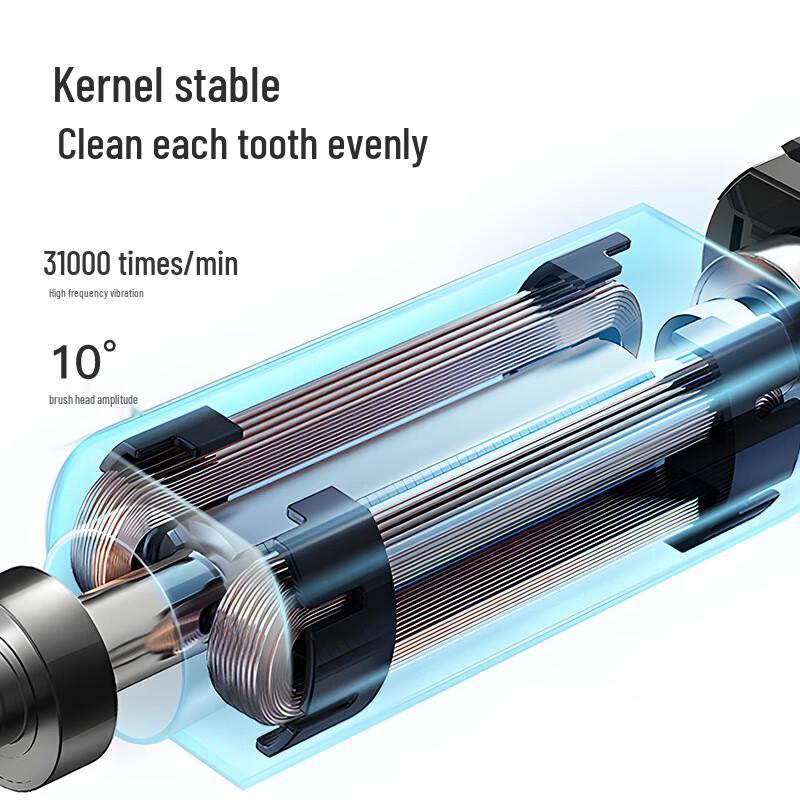 Dr. Bei C1 Sonic Electric Toothbrush