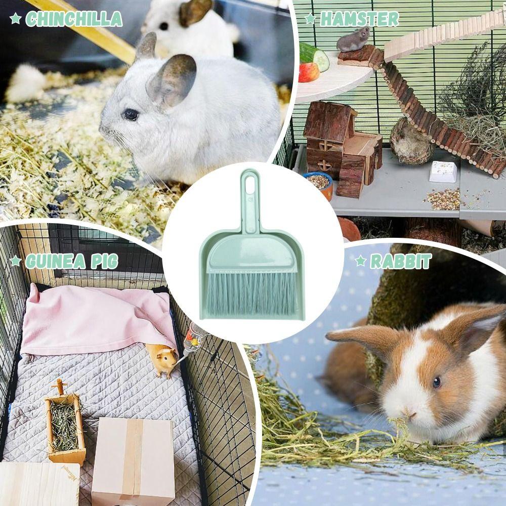 1 Set Portable Cage Cleaner Mini Dustpan and Brush Small Areas Cleaning Tool  Guinea Pigs