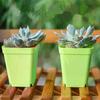 Square Flowers Pots Reusable Set Succulents Ventilated