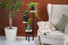 PEAK Universal Flower Stand - White, 3-tier Flower Stand for 3 Pots