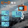 Bonvoisin Hanging Scale 2000kg Crane Scale with Remote Control Digital Hanging Scale Batteries Sold Separately Wharf Slaughterhouse Farm Factory