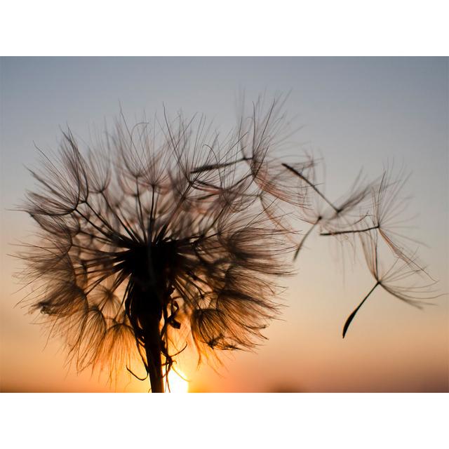 5D Diamond Painting Flower Rhinestone Picture Full Round Diamond Embroidery DIY Mosaic Art Decoration Rhinestone Gift