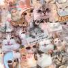 50pc/set Sweet INS Kitten Scrapbook Sticker Transparent Kawaii Cat Journaling Background Sticker DIY Decor Guitar Laptop Sticker