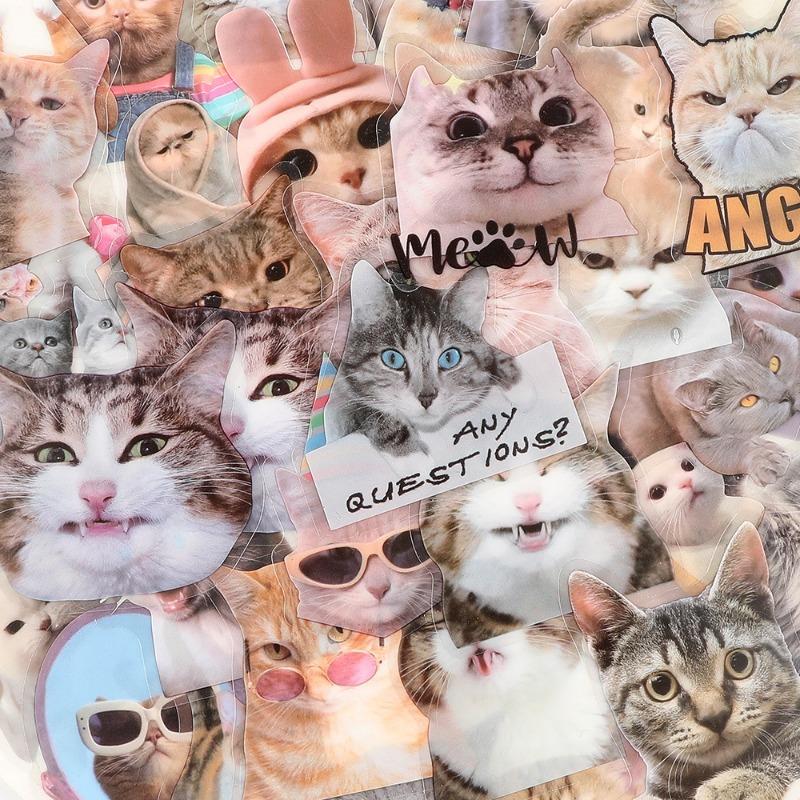 50pc/set Sweet INS Kitten Scrapbook Sticker Transparent Kawaii Cat Journaling Background Sticker DIY Decor Guitar Laptop Sticker