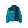 THE NORTH FACE 1996 Retro Nuptse Jacket (Unisex) Down Jackets NF0A3C8D 9NQ