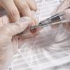 Maintain Health and Safety Standards Disposable NonWoven Fabric Filter Cloth Replacements for Nail Art Vacuum Cleaner
