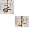 KX4B Interactively Bird Perches Stand Parrots Climbing Stand Chewable Accessory