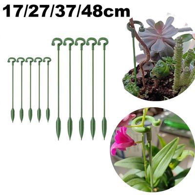 blumenkasten hecke Fertighecke ECO – Natürlicher Sichtschutz aus 7 heimischen Pflanzen, Maße  180x120 cm – Efeuria, die Gartenhecken aus Efeu