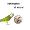 Tiger Skin Parrot Chew Toy - Natural Rattan Ball for Beak Grinding