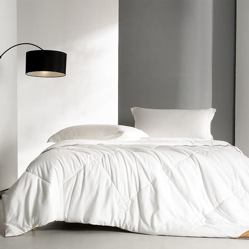 

Hongxiu Shifang Microfiber All-Season Quilt