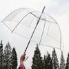 Creative Long-Handle Transparent Automatic Umbrella with White 8-Rib Curved Handle Straight Shaft Two-Person Gift Umbrella