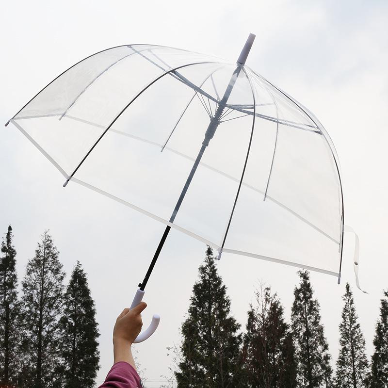 Creative Long-Handle Transparent Automatic Umbrella with White 8-Rib Curved Handle Straight Shaft Two-Person Gift Umbrella