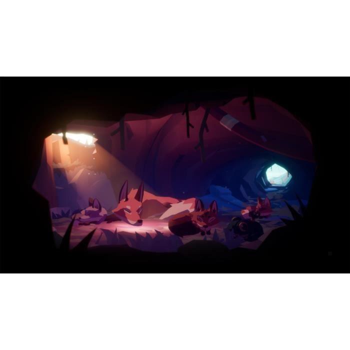 Endling Extinction Is Forever Jeu PS4