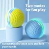 Smart Cat Toys Pet Toys Indoor Automatic Rolling Ball Rechargeable Electric Bite Resistant Toy Pet Interactive Toy Pet Supplies
