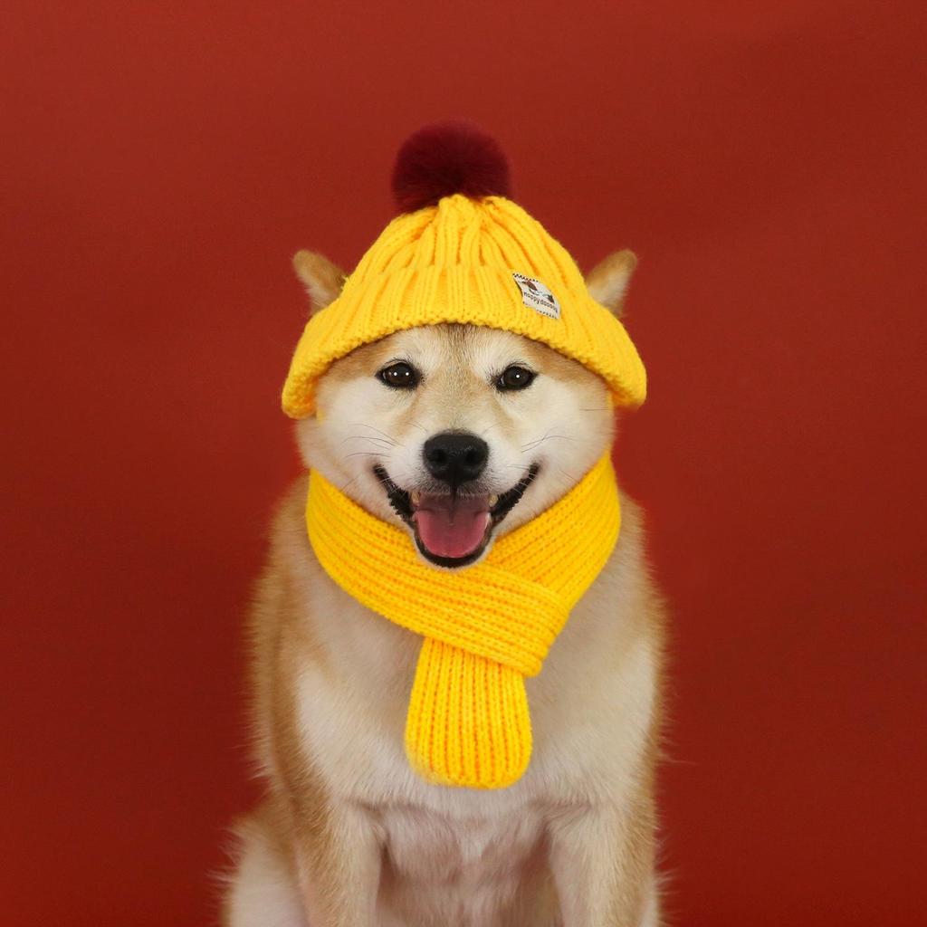 Winter Knit Wool Ear-Hole Hat & Warm Scarf Set for Pets - Cat, Dog, Rabbit Headwear for Christmas & New Year