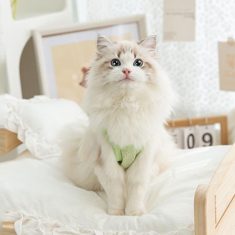 Simple cat sling spring and summer breathable dog vest kitten into cat pup bipod pet clothes