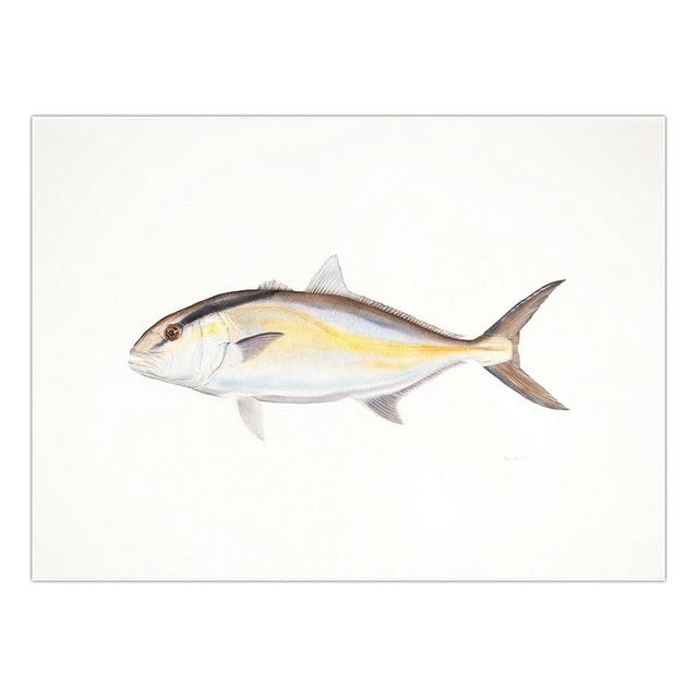 Decorative Painting Retro Fish Restaurant Hotel Paintings Animal Print Wall Pictures for Living Room Flatfish Wall Art Canvas