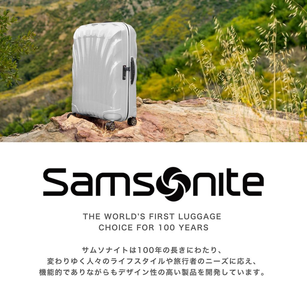 Samsonite Men's Pro Deluxe 6 Backpack, 17.3" 3V, Expandable Ballistic Nylon, Black