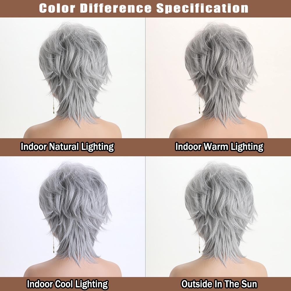 Women Stylish Short Layered Brown Hair Synthetic Silver Gray Wigs with Bangs for Daily Cosplay Lolita Heat Resistant Fibre
