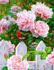 RUOPOTY DIY Frame Picture By Numbers Tower Wall Art On Canvas Acrylic Unique Gift Painting By Numbers Flower For Living Room