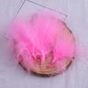 Blood vessel velvet feather turkey feather jewelry cat toy cat stick handicraft dream catcher decorative material