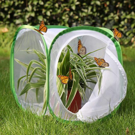 Collapsible Butterfly Habitat Feeding Cultivation Terrarium Mesh Cage