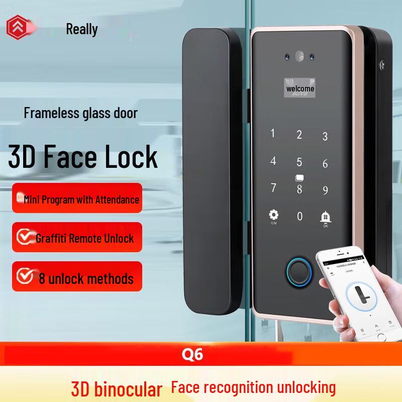 Realand Q6 Smart Glass Door Lock