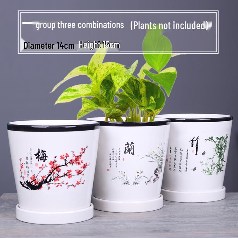 2025 Large Ceramic Flower Pot with Tray for Balcony & Living Room - Orchid & Succulent Album Style