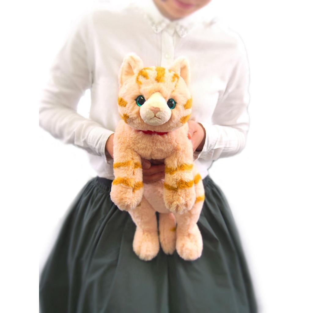 Sun Lemon Knee Cat Brown M 25 x 39 x 12cm Stuffed Animal P-1812
