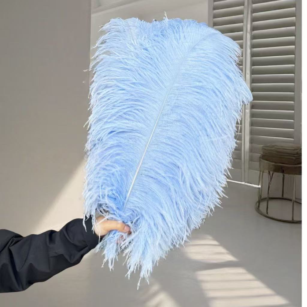 1pcs Ostrich Hair 65-70Cm Photo Feather Wall Wedding Road Guide Decorative Props Colored Feathers