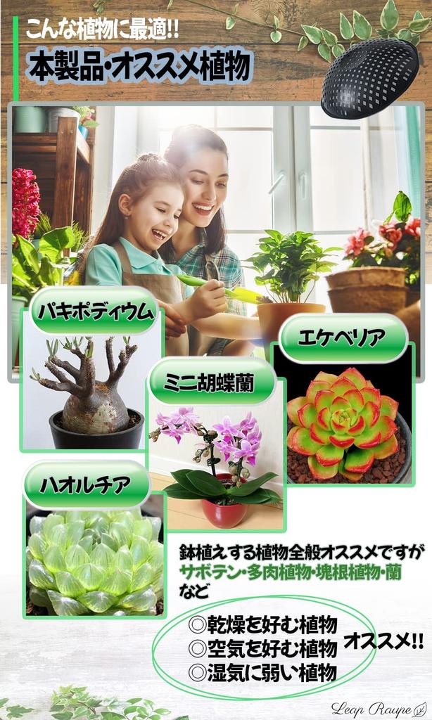 Leap Raupe Pot Bottom No Pot Bottom Stones 10 Diameter Net, 3D, Round, Required, Pieces, 11.3cm