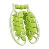 29/23 Wheels Cellulite Massager Manual Muscle Massager Roller  Body Massager Relax