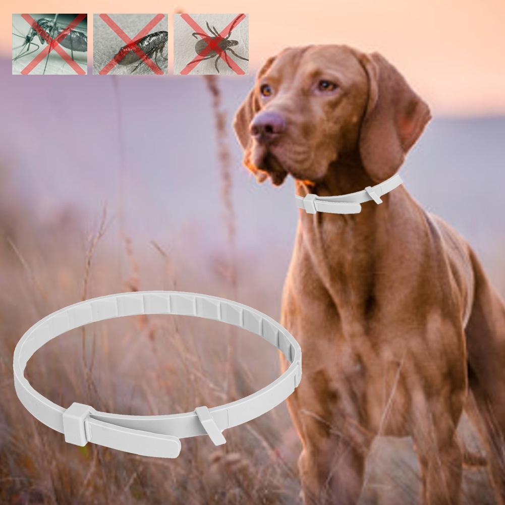 Adjustable Dog Cat Collar Summer Mosquito Flea Repellent Necklace Outdoor Pet Supplies