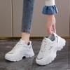 Mesh low-top dad shoes spring new breathable student sports heightened leisure