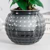 Removable Hydroponic Plants Pot Self Watering Office Bonsai Decor  for Plants and Flowers