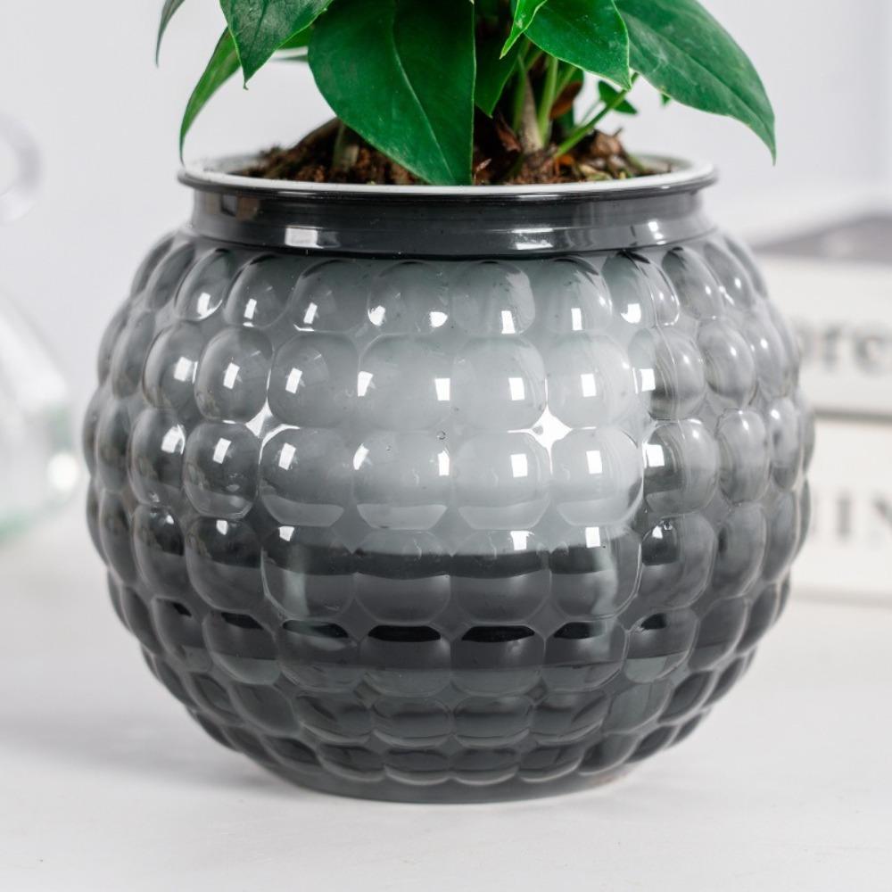 Removable Hydroponic Plants Pot Self Watering Office Bonsai Decor  for Plants and Flowers