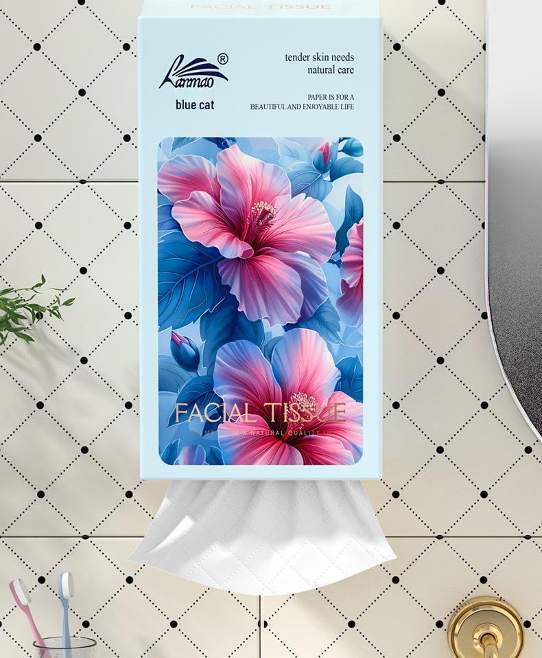Hanging Tissue Paper Pack: 2 Practical Packs for Household Use