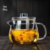 Gaoming Heat-Resistant Glass Penguin Teapot