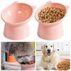 Elevated Tilted Cat Bowl, Raised Cat Ear Food Water Feeder, Neck Protection Pet Dish, Non-Slip High Foot Bowl