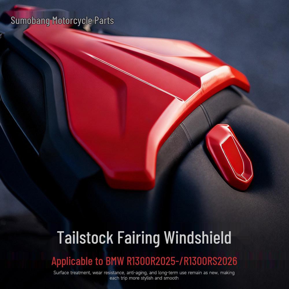 BMW R1300R/RS Rear Seat Cover & Tail Wing Hump Fairing
