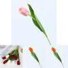 Realistic Tulipa Gesneriana Fake Flower Artificial Plant For Wedding Decoration And Photography Props