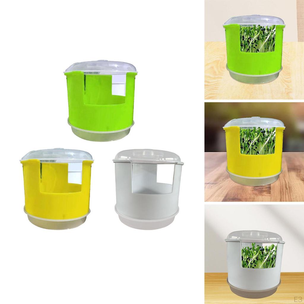 Germination Tray Grower Container Peanut Box for