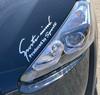 Sports Mind Car Motorcycle Sticker Decal Sticker Universal Side Dress Up Sports Mind 8 Colors 4 Sizes Letters White LL Size 35 x (All Silver, 11cm)