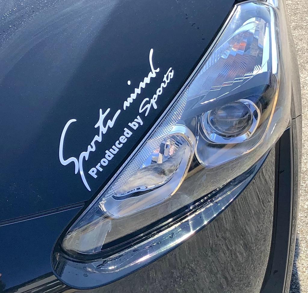 Sports Mind Car Motorcycle Sticker Decal Sticker Universal Side Dress Up Sports Mind 8 Colors 4 Sizes Letters White LL Size 35 x (All Silver, 11cm)