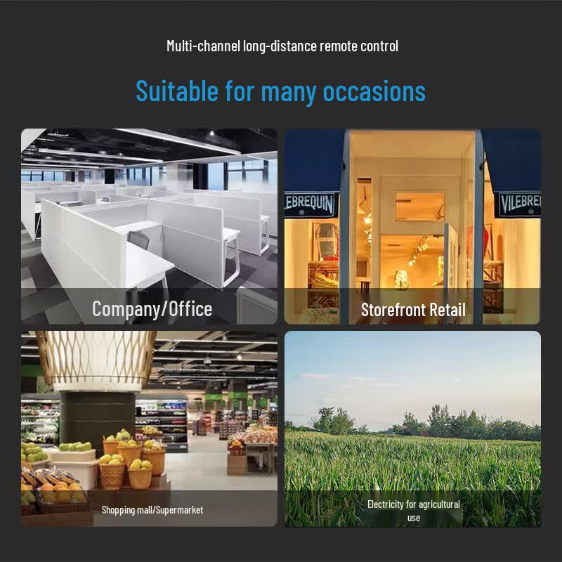 220V Wireless Remote Control Switch for Lights