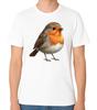 Rotkehlchen T-Shirt Niedlicher Britischer Singvogel Grafik Unisex Tee